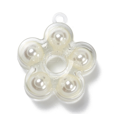 (Defective Closeout Sale: Yellowing) Transparent Acrylic Pendants TACR-XCP0001-05-1
