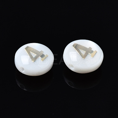 Natural Freshwater Shell Beads SHEL-N003-20-04-1