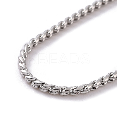 Tarnish Resistant 304 Stainless Steel Serpentine Chain Anklets AJEW-G024-04P-1