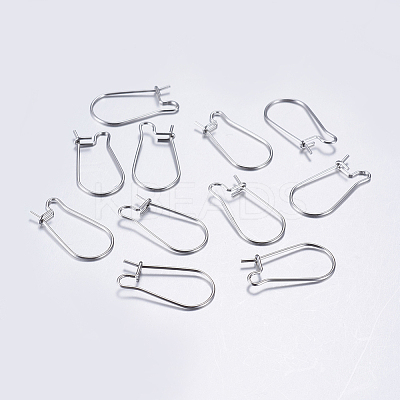 Tarnish Resistant 304 Stainless Steel Hoop Earrings LS-STAS-L198-15B-P-1