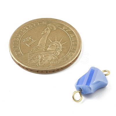Electroplated Glass Connector Charms PALLOY-JF02205-1