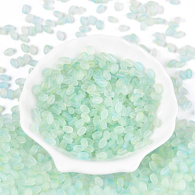 Frosted Glass Seed Beads SEED-N008-05F-1
