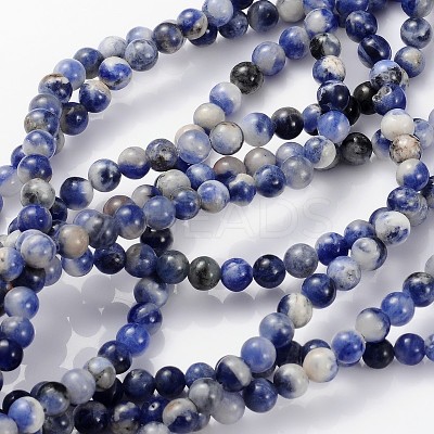 Natural Sodalite Beads Strands GSR4mmC013-1