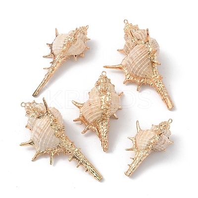 Electroplate Spiral Shell Big Pendants BSHE-C004-06G-1