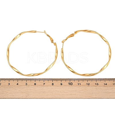 304 Stainless Steel Hoop Earrings EJEW-I320-25G-03-1
