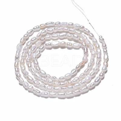 Natural Cultured Freshwater Pearl Beads Strands PEAR-N012-02H-1