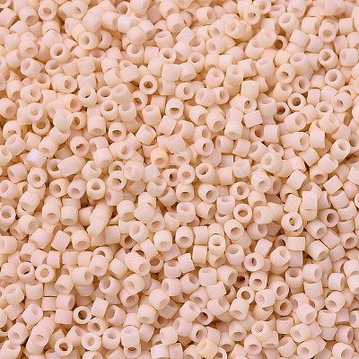 MIYUKI Delica Beads X-SEED-J020-DB0354-1