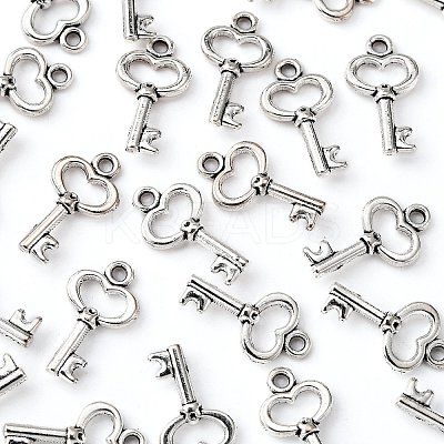 Gifts Ideas for Her Tibetan Style Alloy Charms LS-LF11975Y-1