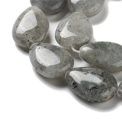 Natural Labradorite Beads Strands G-P528-L03-01-1
