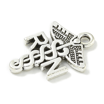Tibetan Style Alloy Pendants TIBE-I026-5976AS-1