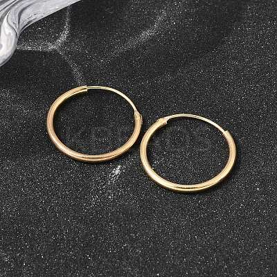 Brass Hoop Earrings EJEW-G474-01G-03-1