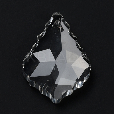 Transparent Glass Pendants GLAA-R223-16-1