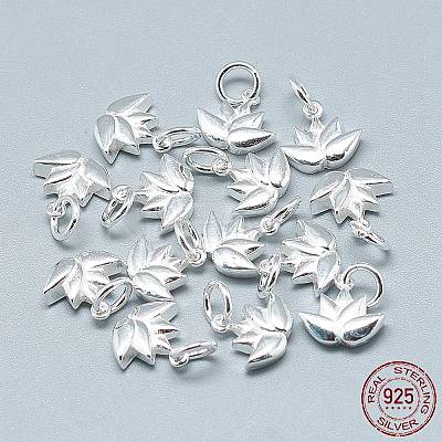 925 Sterling Silver Charms STER-T002-117S-1