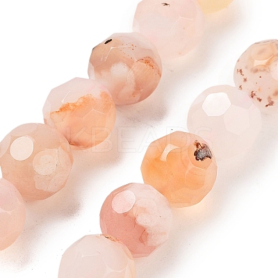 Natural Cherry Blossom Agate Beads Strands G-C150-B04-02-1