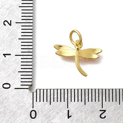 Brass with Enamel Pendants KK-D295-23G-1