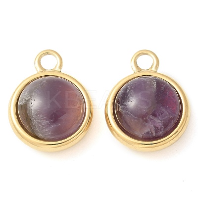 Ion Plating(IP) 304 Stainless Steel with Amethyst Pendants STAS-Q345-11G-02-1
