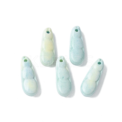 Natural Rainbow Alashan Agate Charms G-G194-05-1