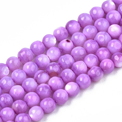 Natural Freshwater Shell Beads Strands SHEL-N003-24-B04-1