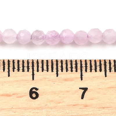 Natural Kunzite Beads Strands G-G259-D11-3mm-1