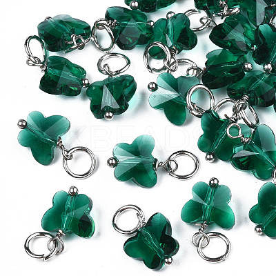 Faceted Transparent Glass Charms GLAA-T024-06F-1