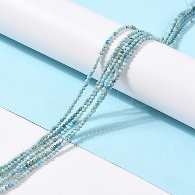 Natural Blue Opal Beads Strands G-K315-B05-A-1