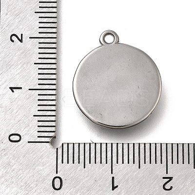 304 Stainless Steel Pendants STAS-C119-11P-1