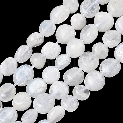 Natural Rainbow Moonstone Beads Strands G-Q961-27-1