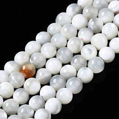 Natural Trochid Shell/Trochus Shell Beads Strands SSHEL-S266-023A-01-1