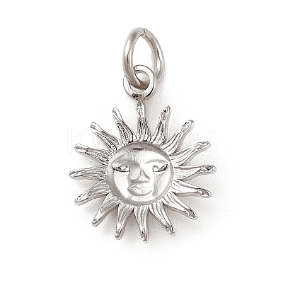 Non-Tarnish 304 Stainless Steel Charms LS-STAS-G295-03P-1