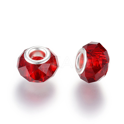 Handmade Glass European Beads LS-X-GPDL25Y-76-1