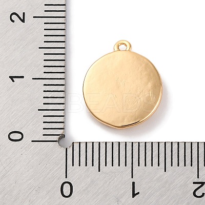Brass Pendants With Clear Cubic Zirconia KK-S403-03G-1