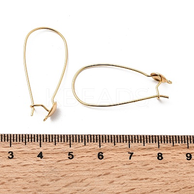 Brass Ear Hooks KK-F916-02G-1