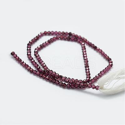 Natural Garnet Bead Strands G-P271-3mm-08-1