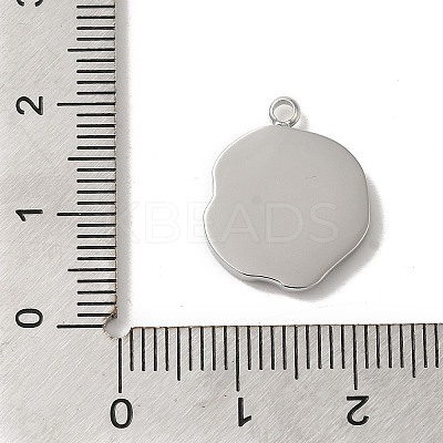 304 Stainless Steel Pendants STAS-B074-08P-02-1