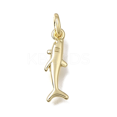 Brass Pendants KK-CBA03B9-05B-G-1