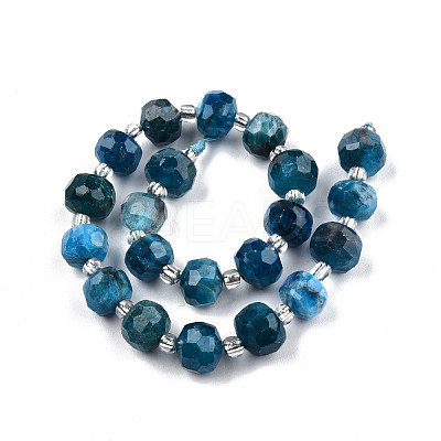 Natural Apatite Beads Strands G-N327-08D-1