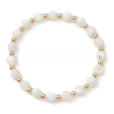 Round Natural Sea Shell Beaded Stretch Bracelets with Brass Beads for Women Men BJEW-JB10278-1