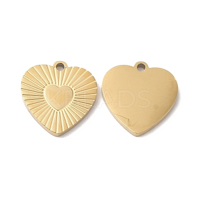 Ion Plating(IP) 316L Surgical Stainless Steel Charms LS-STAS-H213-91G-1