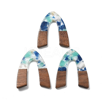 Resin and Walnut Pendants FIND-R051-11C-1