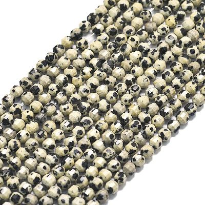 Natural Dalmatian Jasper Beads Strands G-A260-A10-01-1