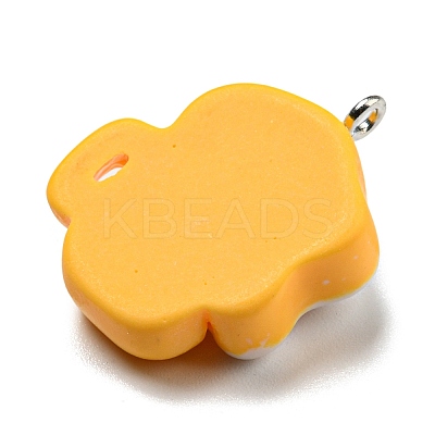 Opaque Resin Imitation Food Pendants CRES-D019-01C-1