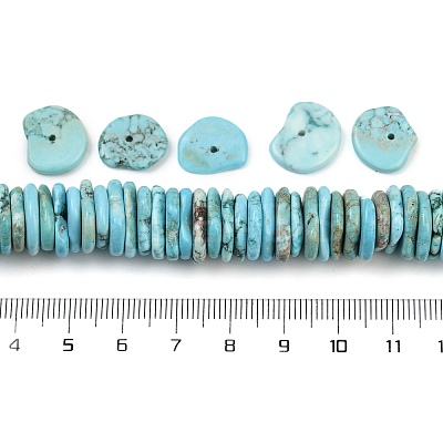 Dyed Natural Magnesite Beads Strands G-V003-01-1