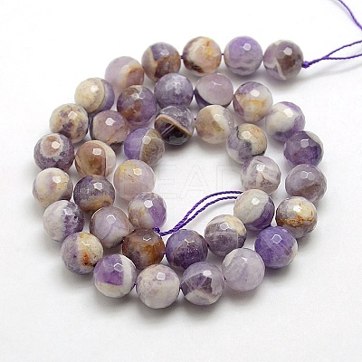 Natural Gemstone Amethyst Round Beads Strands G-O021-12mm-13-1