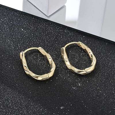 Brass Twist Hoop Earrings EJEW-Q014-02G-1