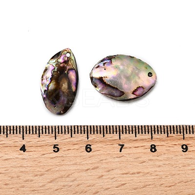 Natural Paua Shell Pendants SSHEL-S280-01A-1