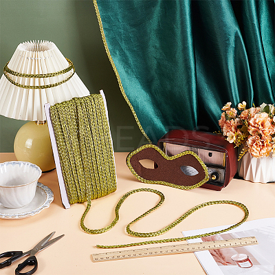 Metallic Polyester Braided Lace Trim OCOR-WH0108-20B-1