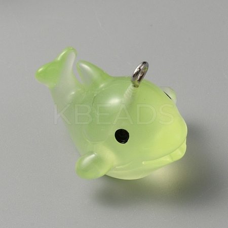 Luminous Translucent Resin Pendants LS-RESI-SZC0004-08E-1