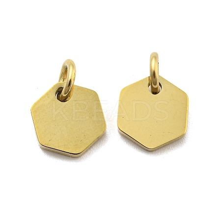 304 Stainless Steel Charms STAS-P356-01G-1