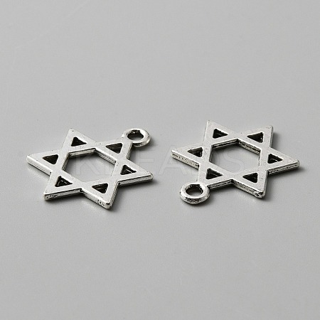 Tibetan Style Alloy Pendants FIND-CJC0012-044-1