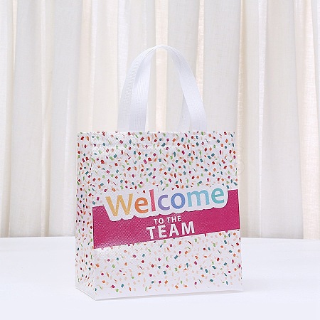 Printed Non-Woven Reusable Folding Wine Bottle Gift Bags with Handle LS-ABAG-C012-04C-1